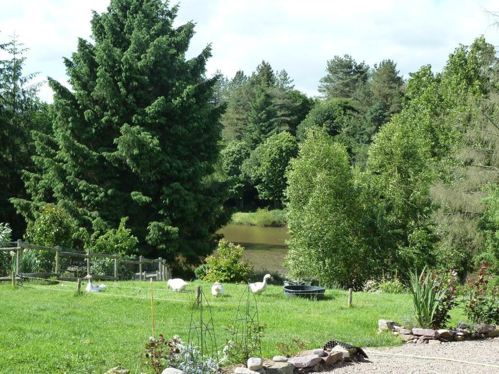 Chambres D'Hotes Logis De L'Etang De L'Aune Iffendic エクステリア 写真